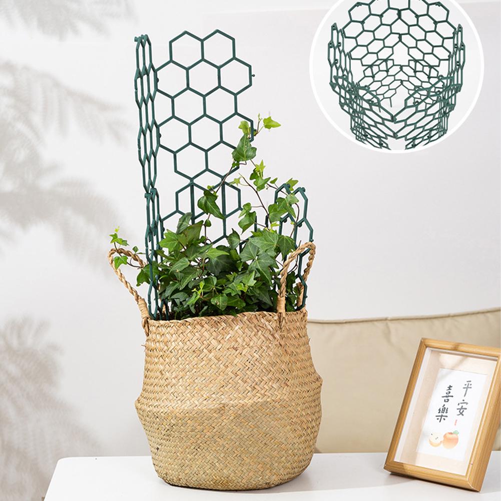 1/2/5Pcs Plastic Plant Support - Florist Supp review and price