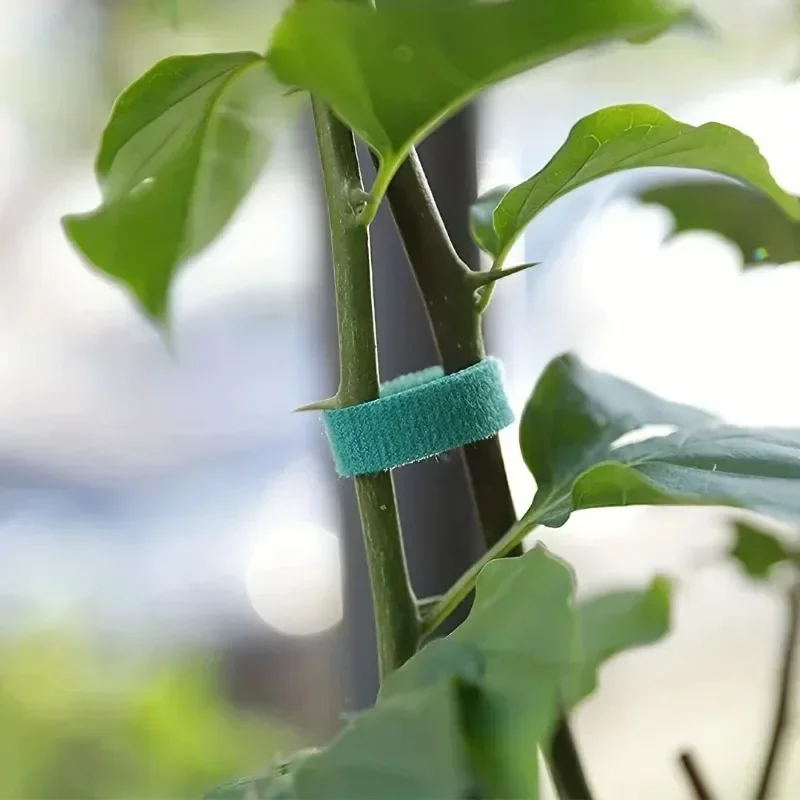 Garden Tape Nylon Cable Tie fo - Florist Supp review and price