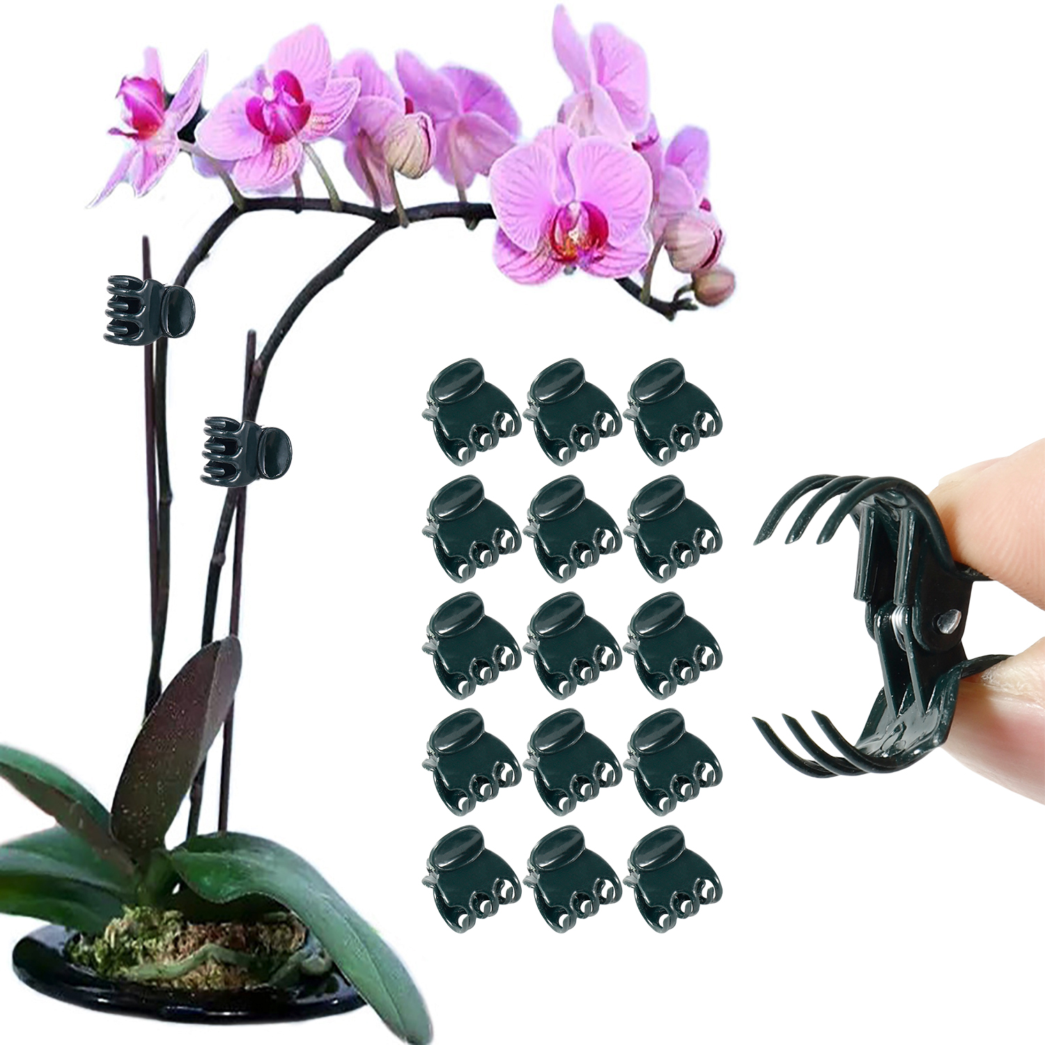 50/100Pcs Plant Clips Butterfl - Florist Supp review and price