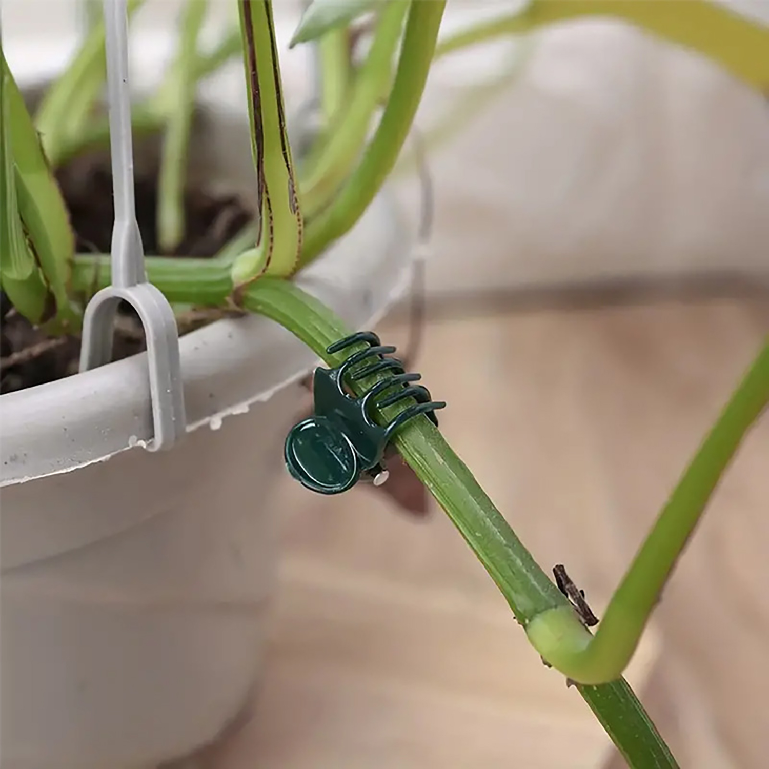 50/100Pcs Plant Clips Butterfl - Florist Supp review and price