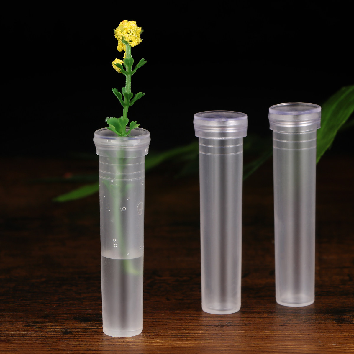 50Pcs Flower Water Storage Tub - Supply For Florist review and price