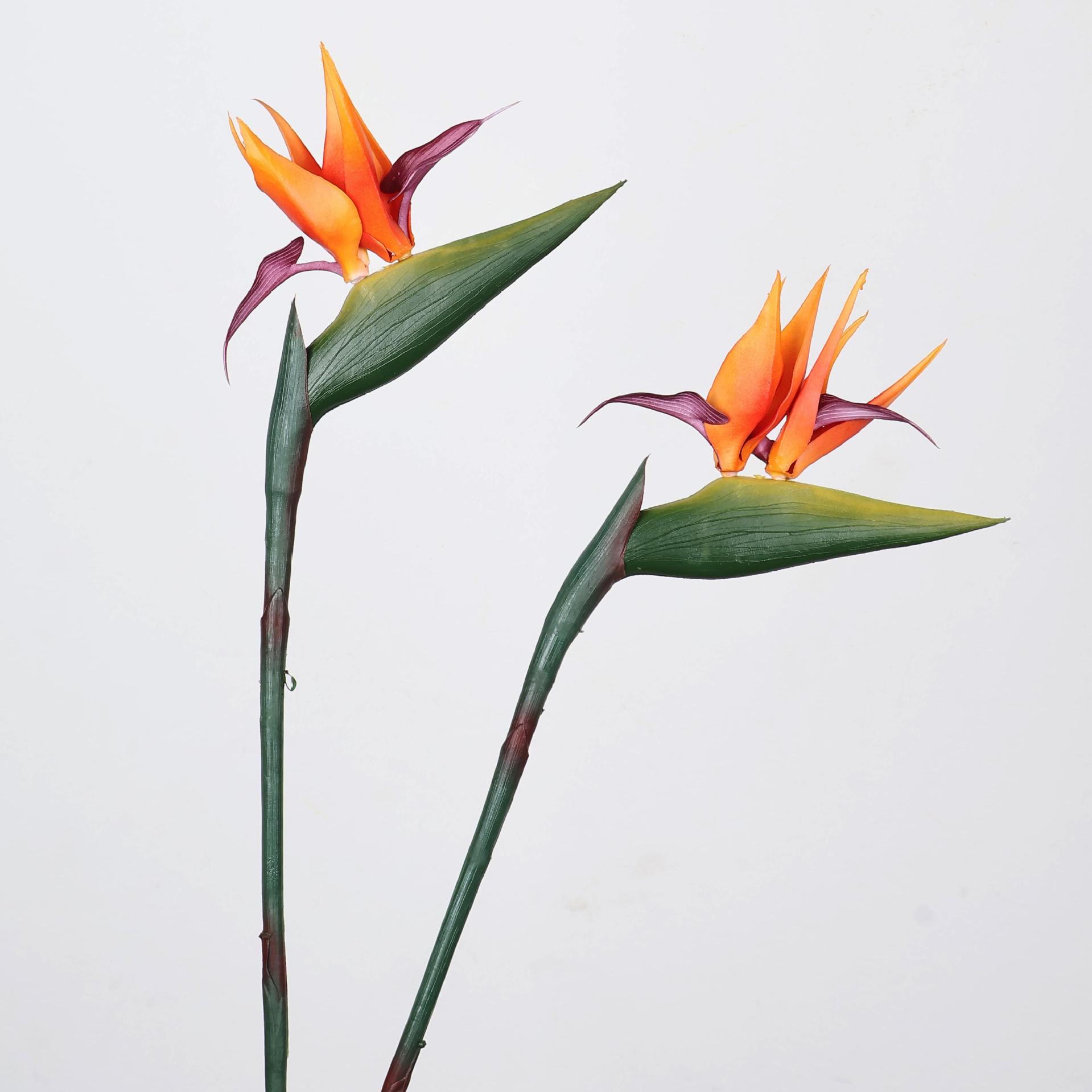33 Inch Artificial Bird Of Par - Florist Supp review and price