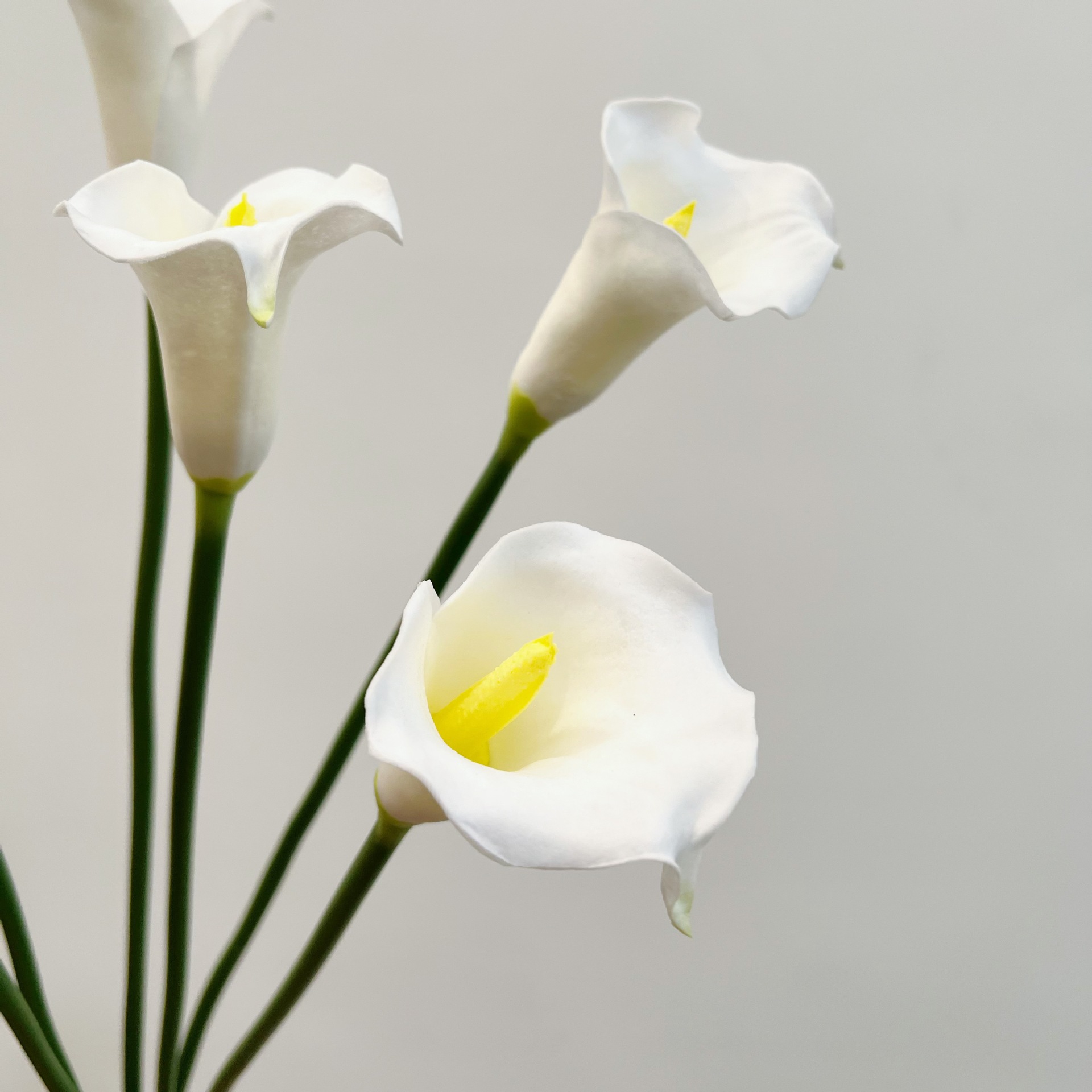 26 Inch Single Stem Crescent C - Florist Supp review and price