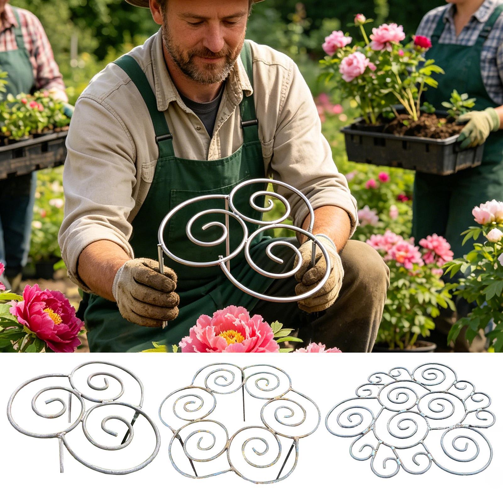 Peony Cage Heavy Duty Metal We - Florist Supp review and price