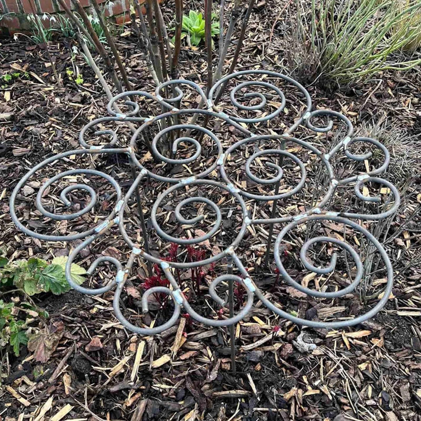 Peony Cage Heavy Duty Metal We - Florist Supp review and price