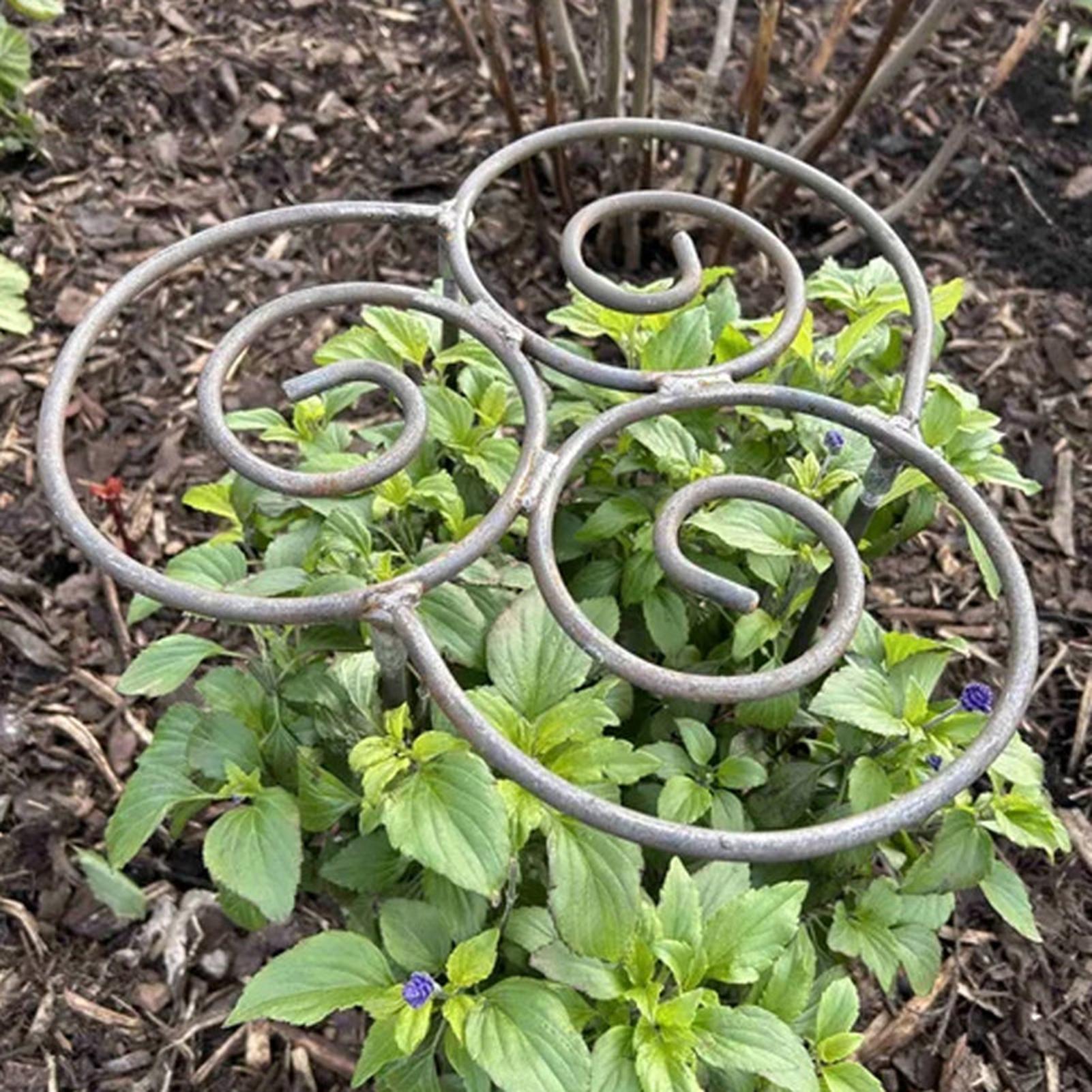 Peony Cage Heavy Duty Metal We - Florist Supp review and price