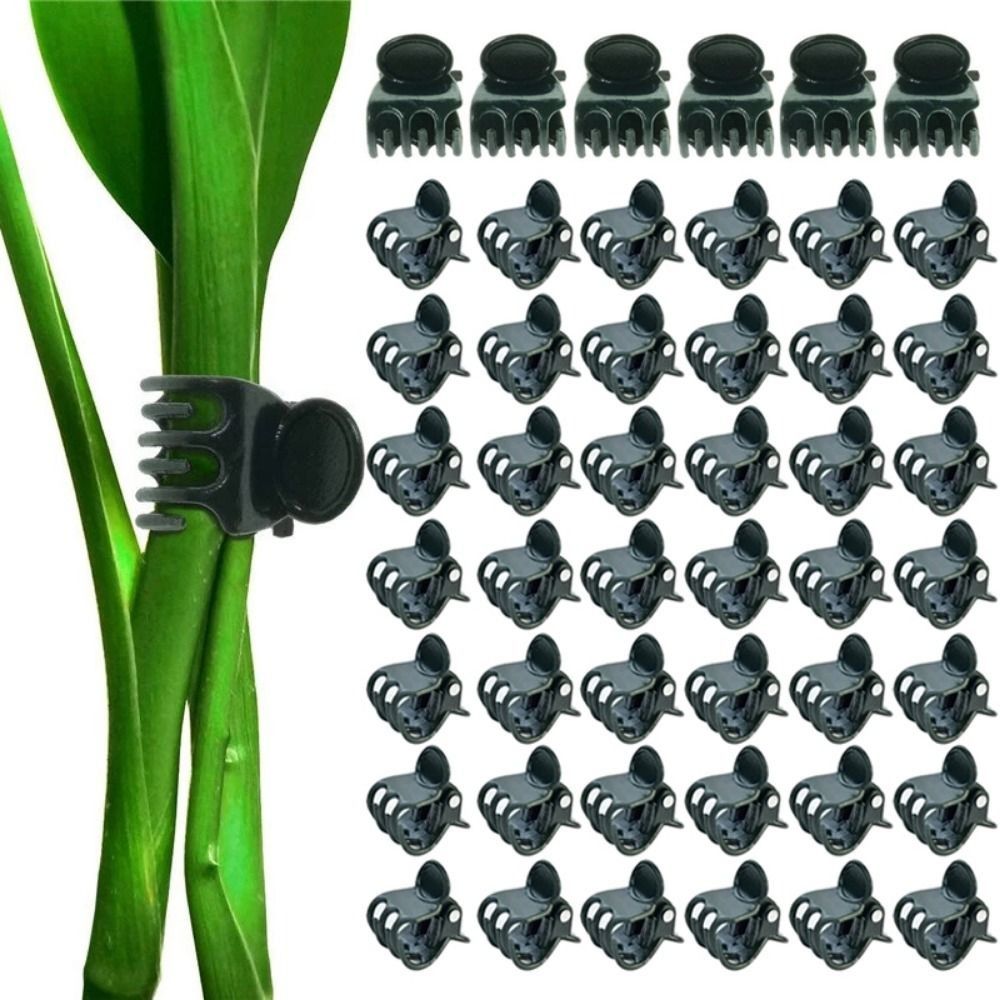 Vine Grafting Plant Clips Supp - Florist Supp review and price