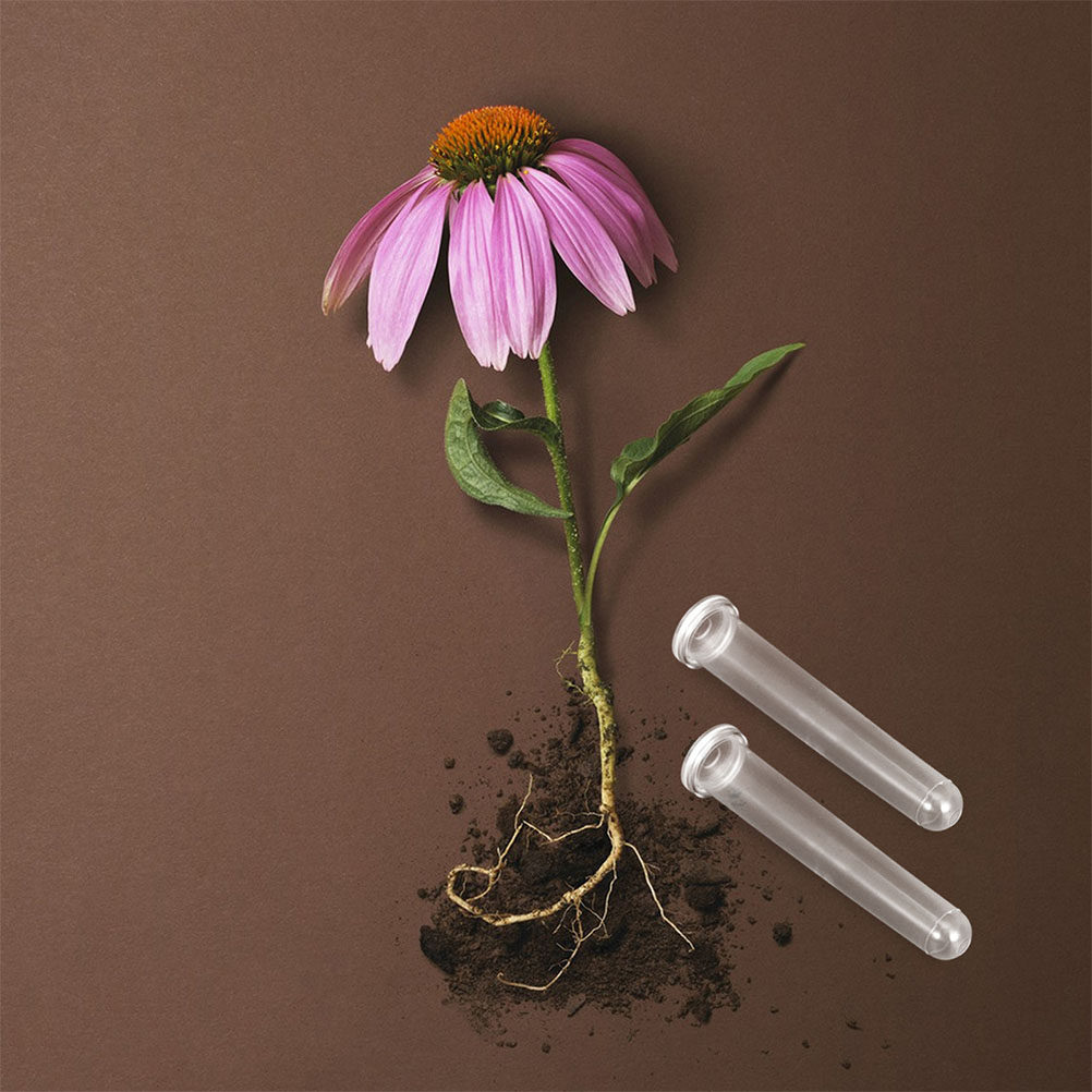 100Pcs Transparent Plastic Flo - Supply For Florist review and price