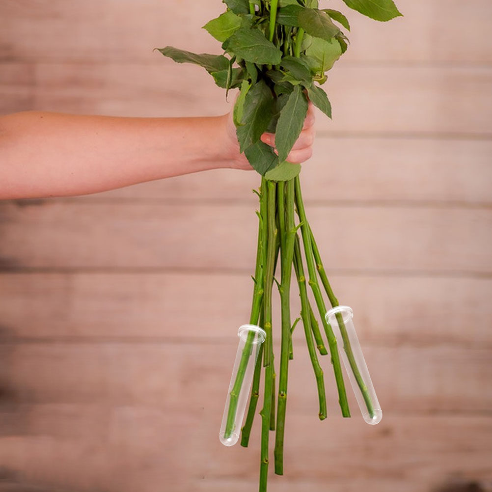 100Pcs Transparent Plastic Flo - Supply For Florist review and price