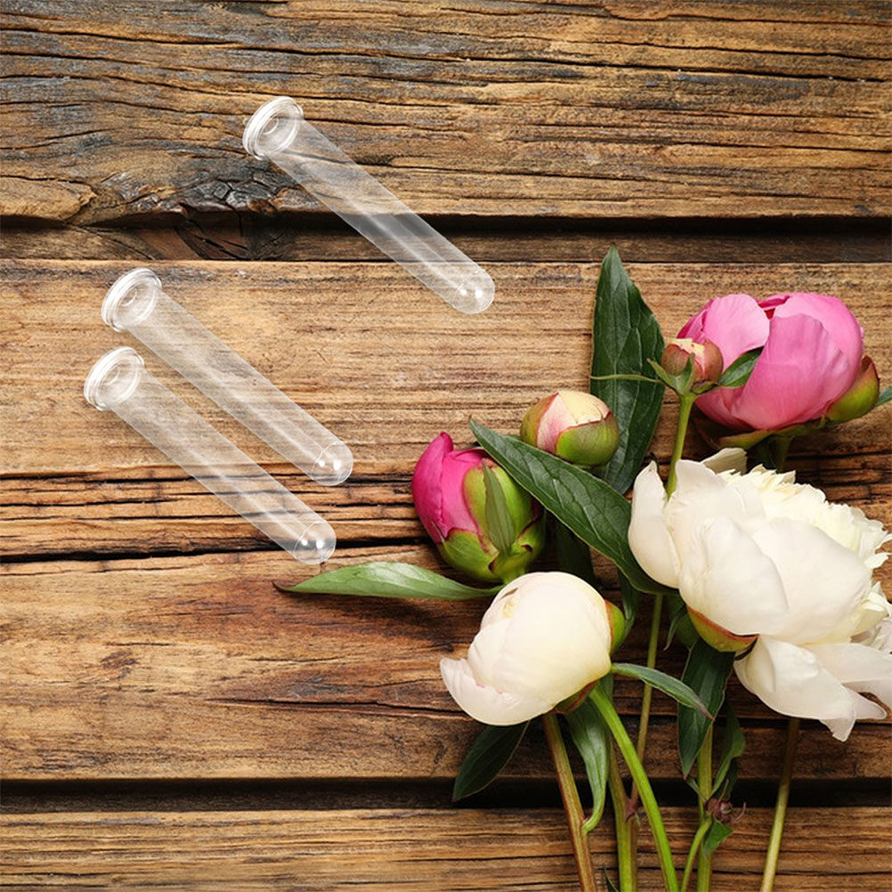 100Pcs Transparent Plastic Flo - Supply For Florist review and price