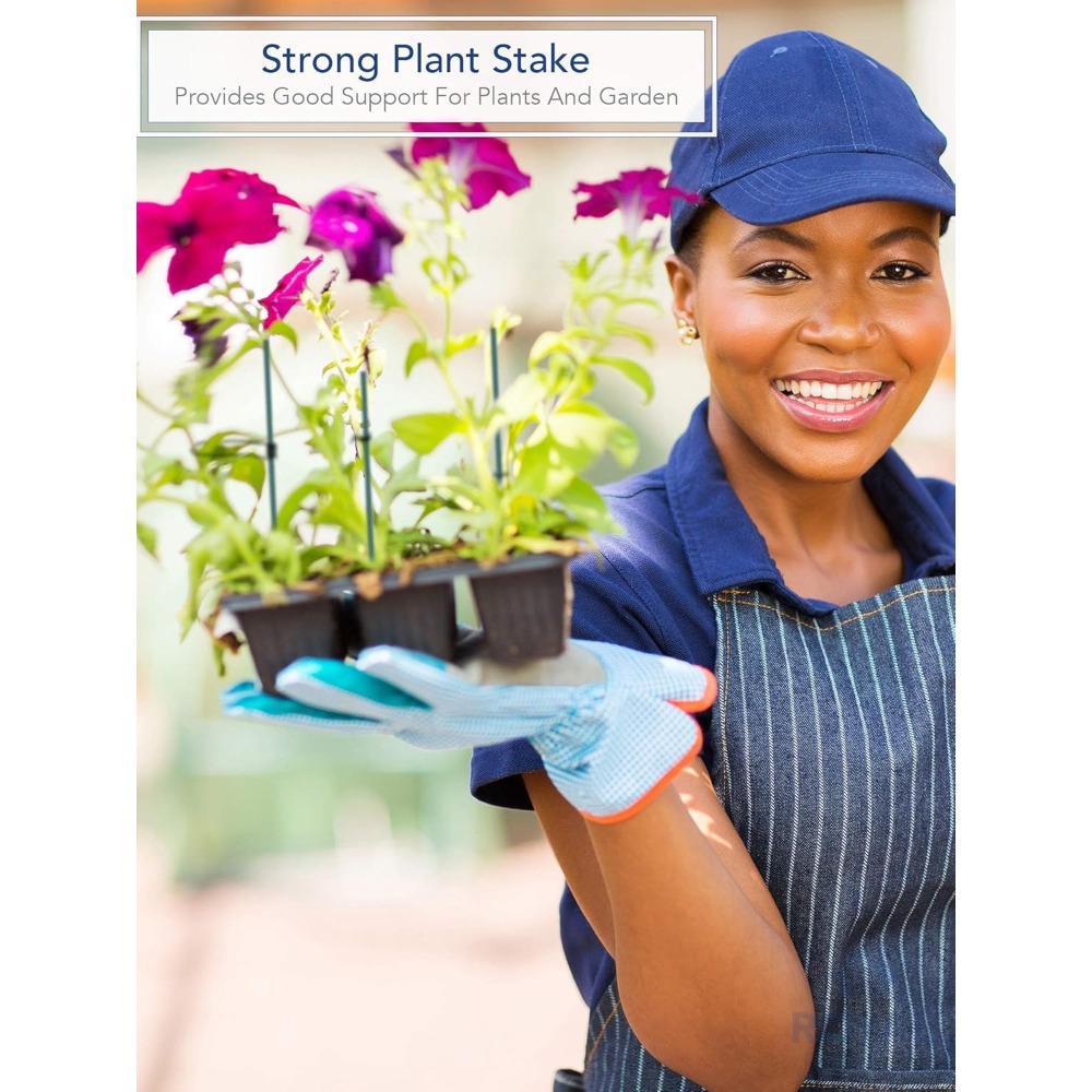 Green Wood Plant Stake, Floral - Floral Picks Wood review and price