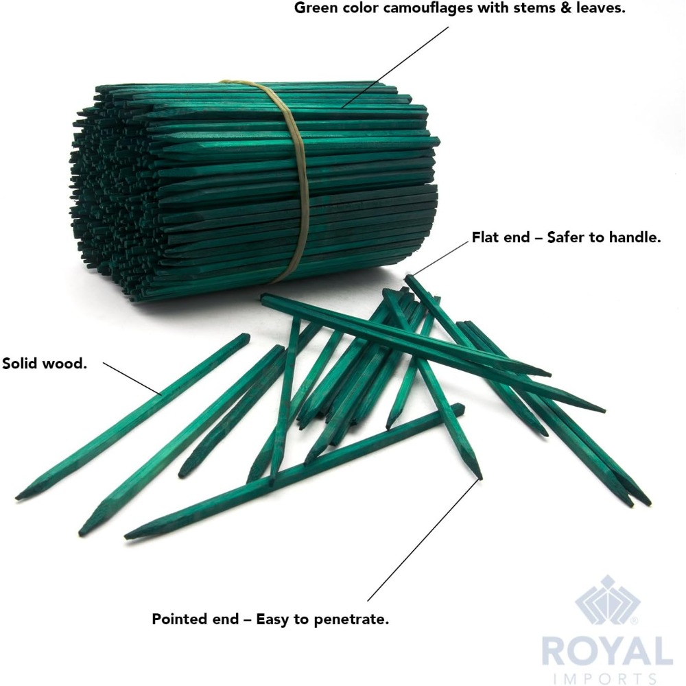 Green Wood Plant Stake, Floral - Floral Picks Wood review and price