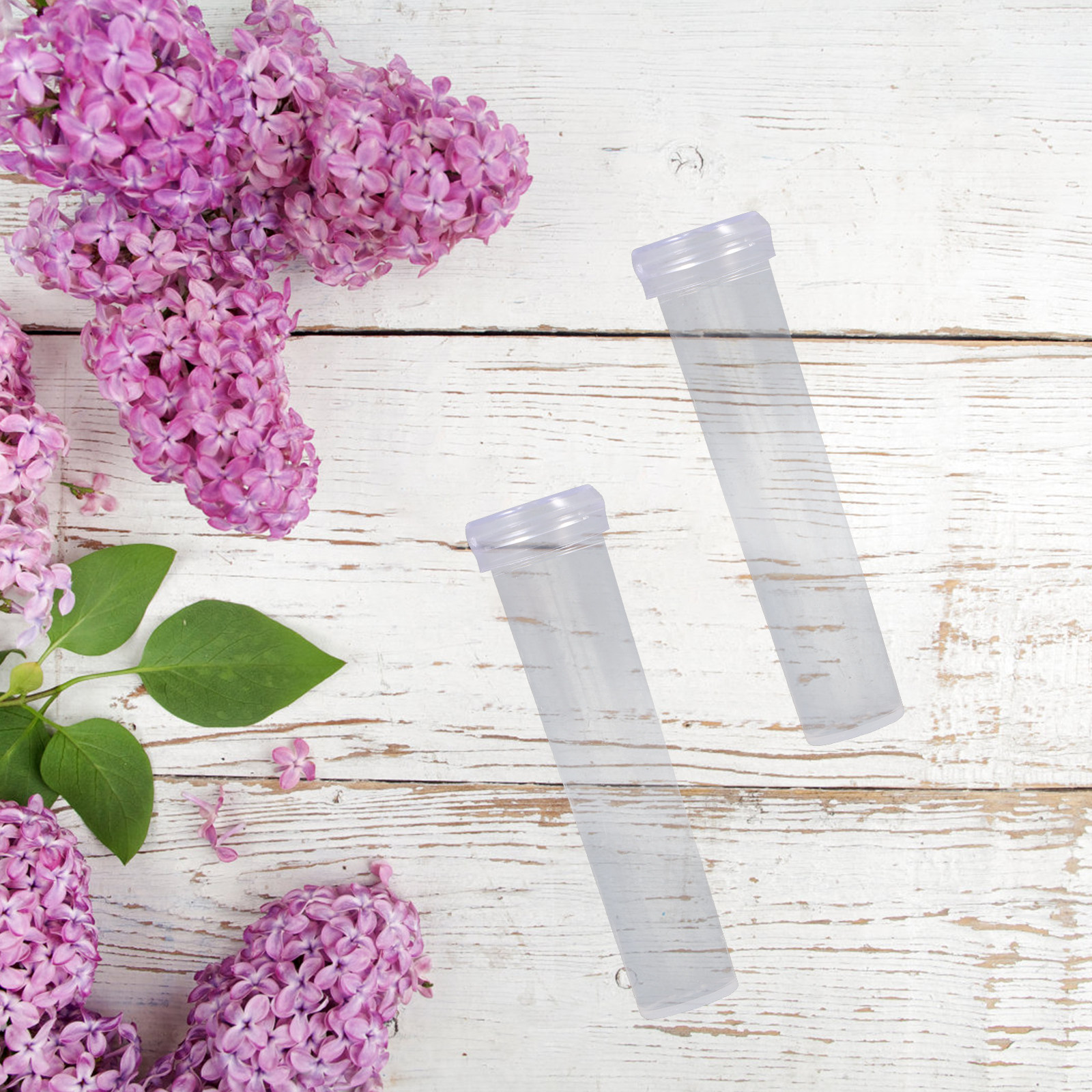100Pcs Nutrition Flower Tube T - Supply For Florist review and price