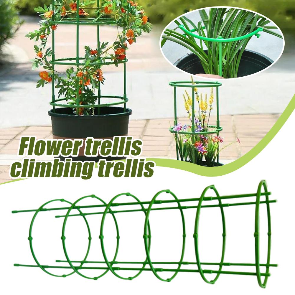 3 Layers Plant Support Plant S - Florist Supp review and price