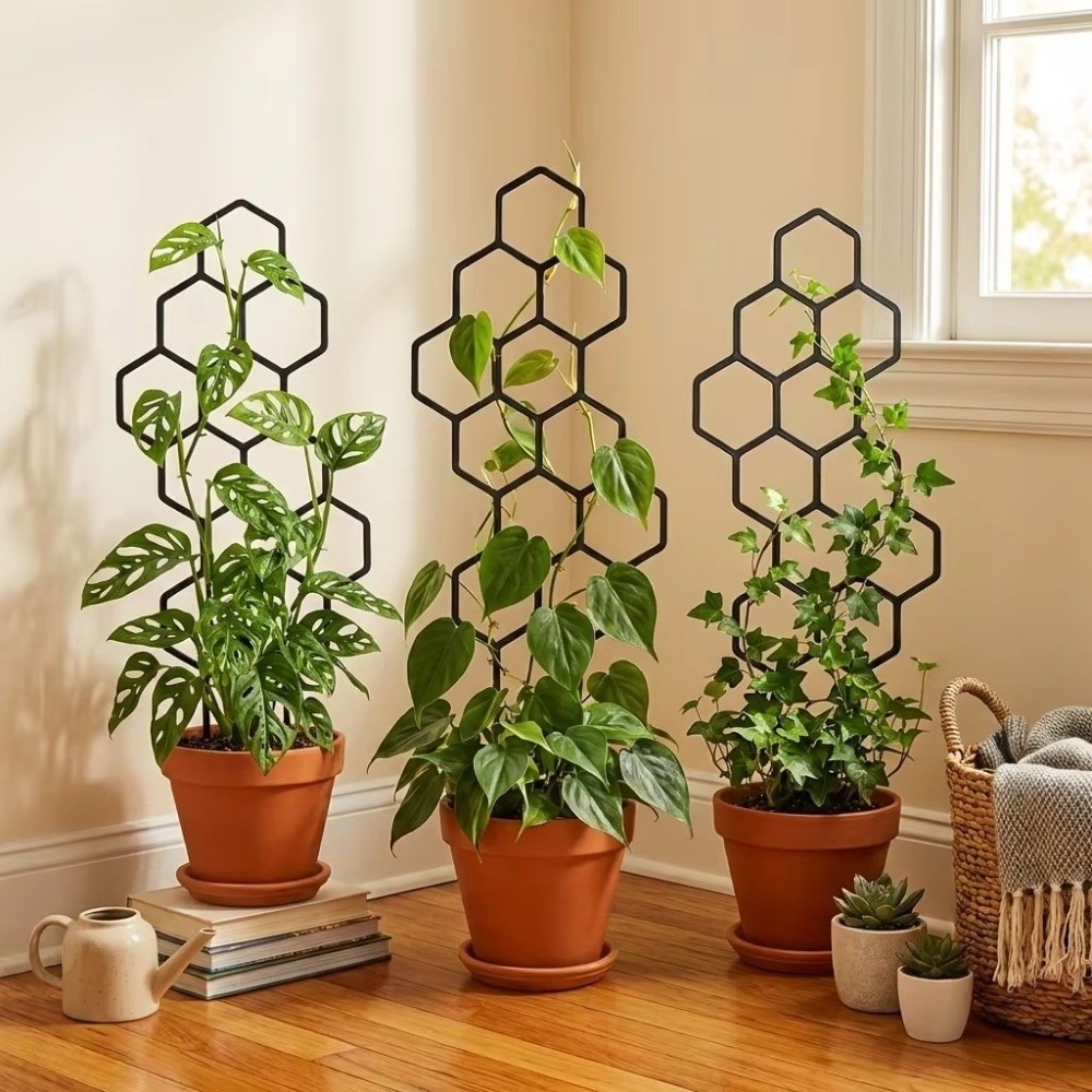 Honeycomb Design Plant Trellis - Florist Supp review and price