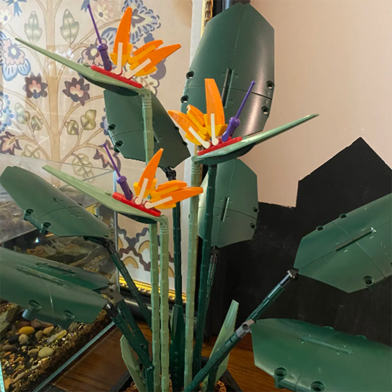 1378PCS Paradise Bird Potted P - Florist Supp review and price